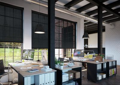 Tende a rullo, SG 4930, Versascreen 1-10%